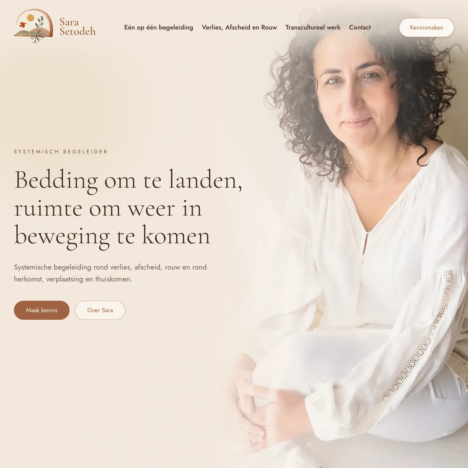 Sara Setodeh website